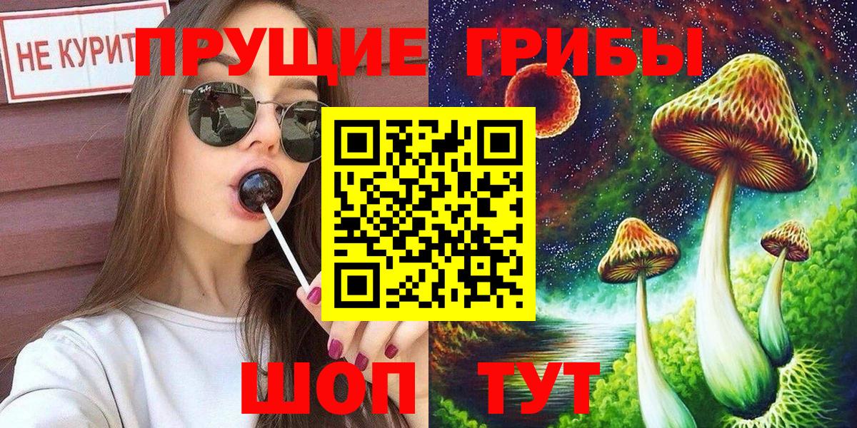 Псилоцибиновые грибы Cubensis Ростов-на-Дону